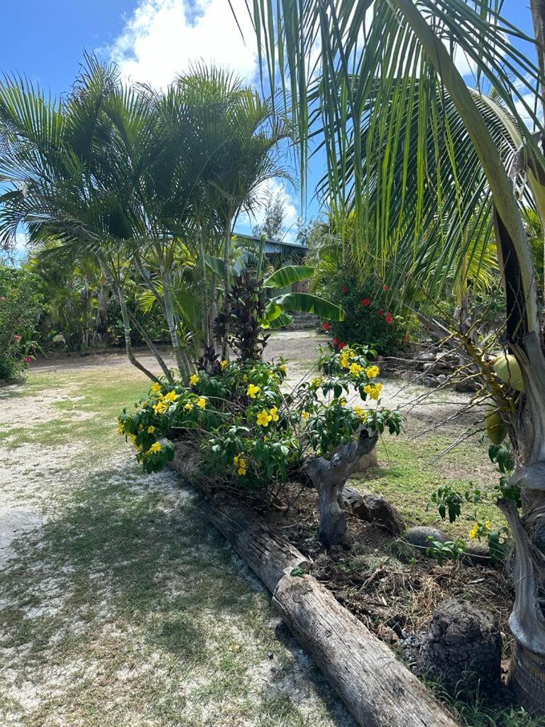 Lily Pad Lodge Bambou Bagian luar foto