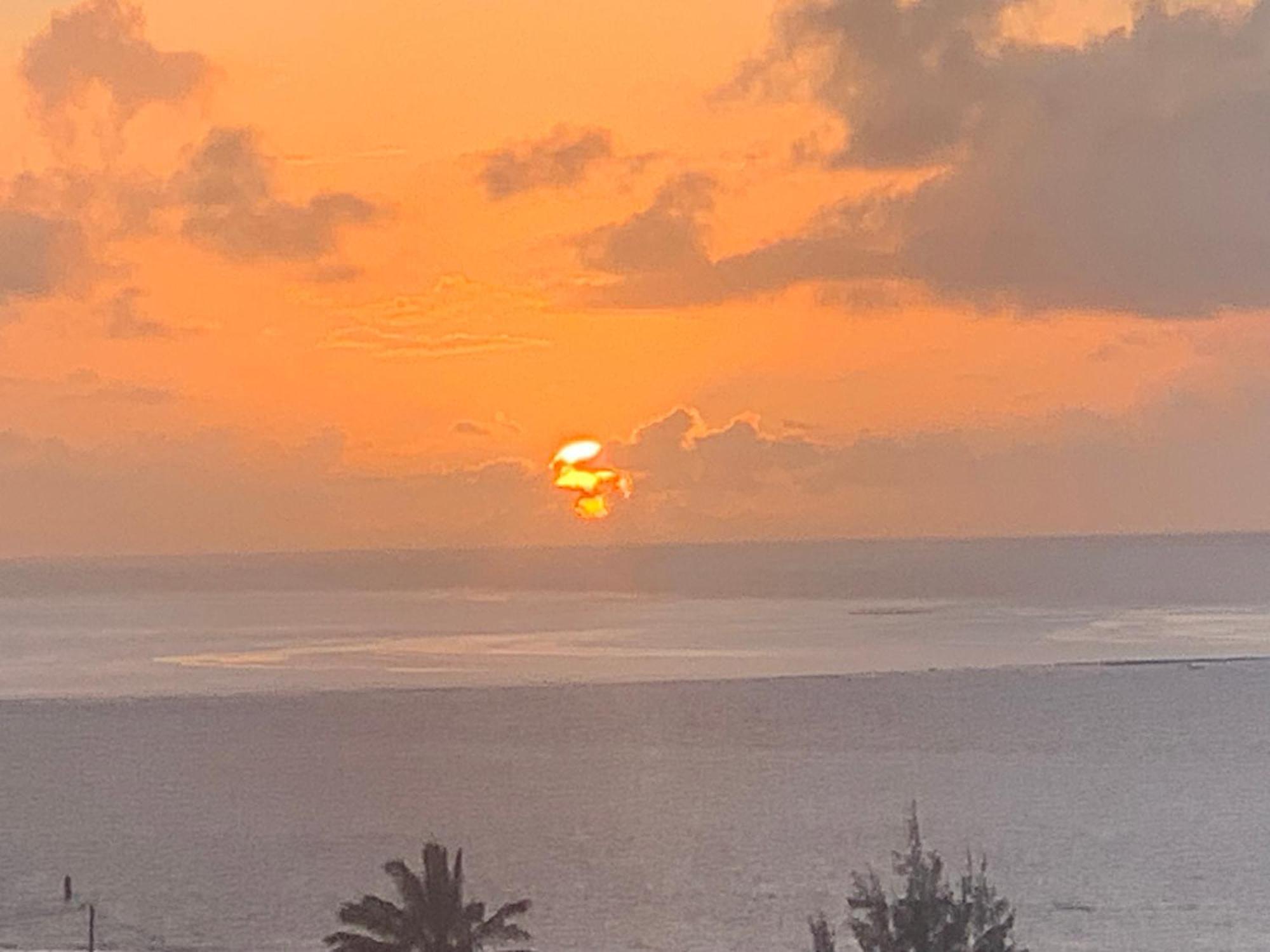 Lily Pad Lodge Bambou Bagian luar foto