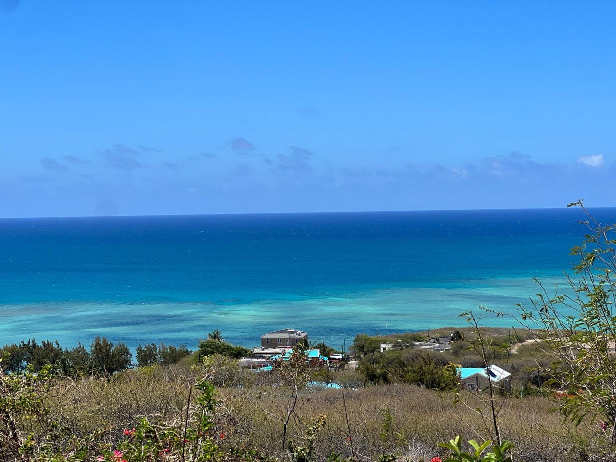 Lily Pad Lodge Bambou Bagian luar foto