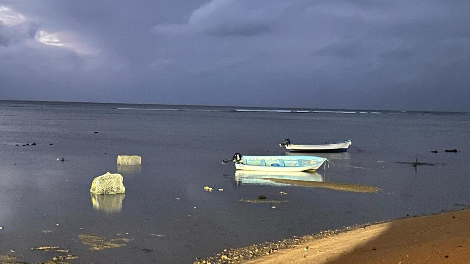 Lily Pad Lodge Bambou Bagian luar foto
